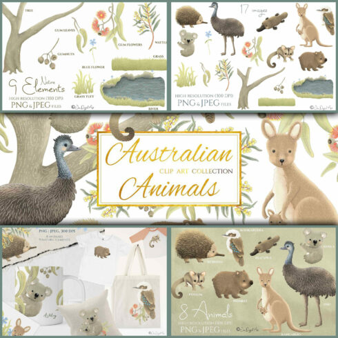 Australian Animals Collection.