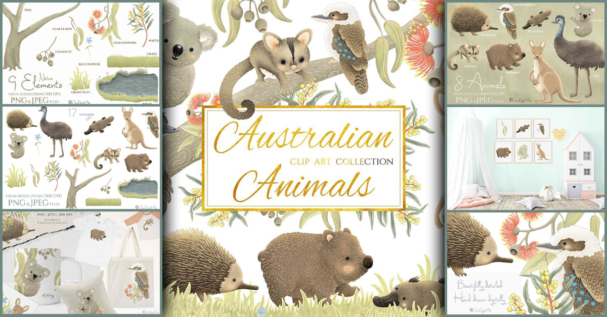 Australian Animals Collection - Facebook.