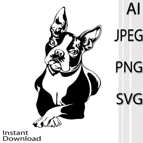 Boston Terrier Dog SVG main cover.