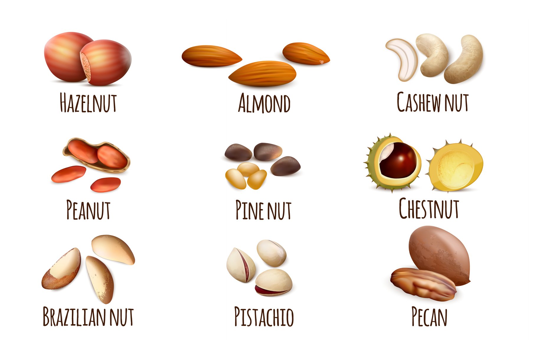 Nice nuts collection for the different purposes.