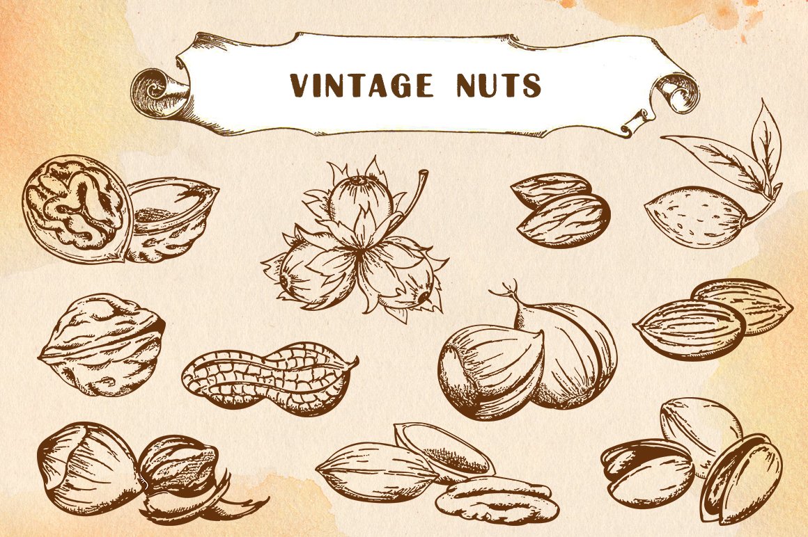 Brown lettering "Vintage Nuts" and a set of an illustrations with vintage nuts on a beige background.