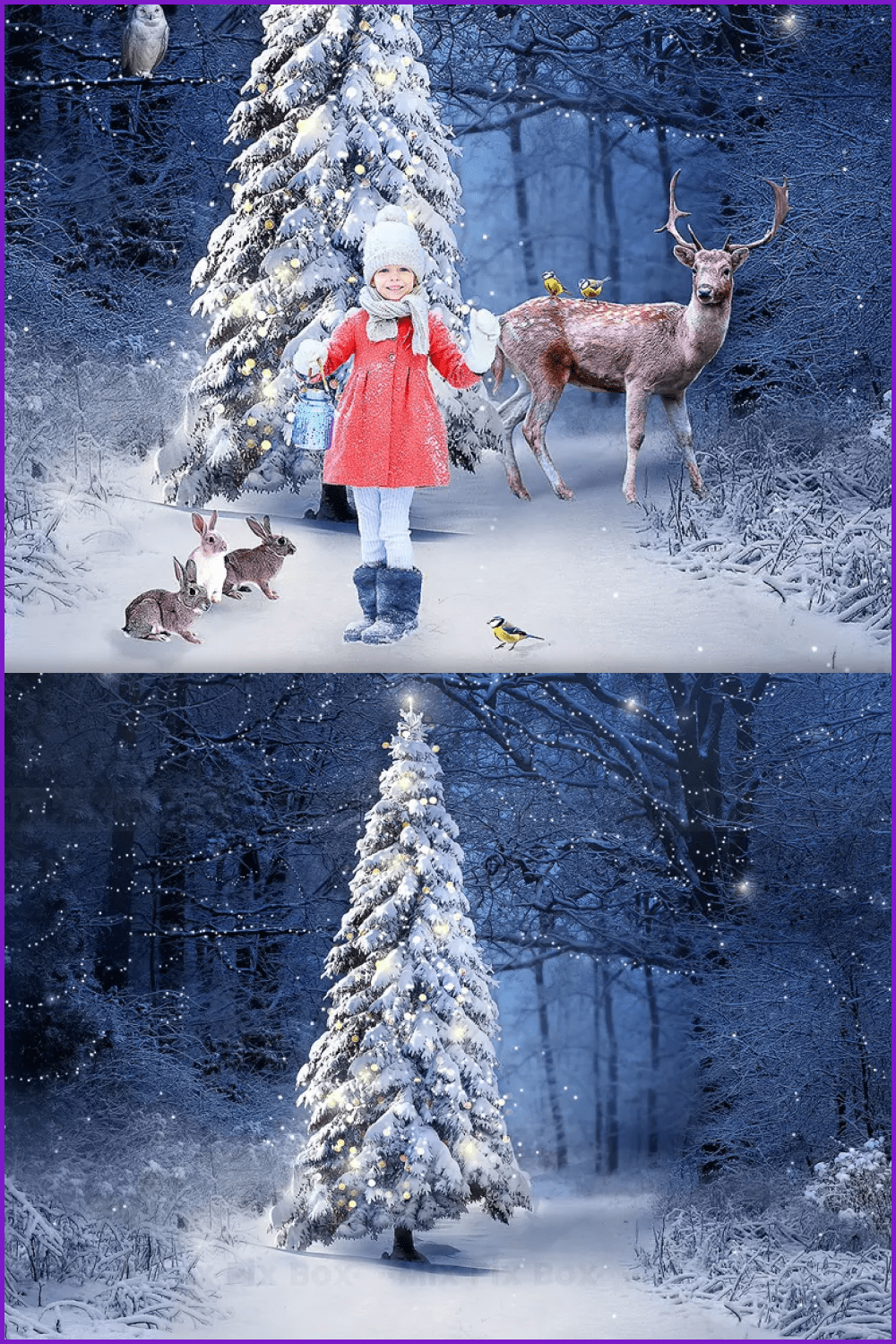 A collage of images of a large snow-covered spruce in the forest with a girl, rabbits and a deer.