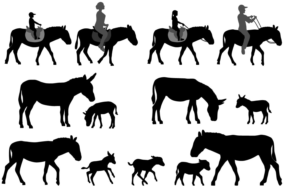 Diverse of horses with men.