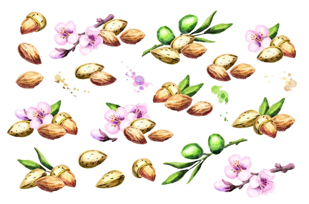 Diverse of almond collection.