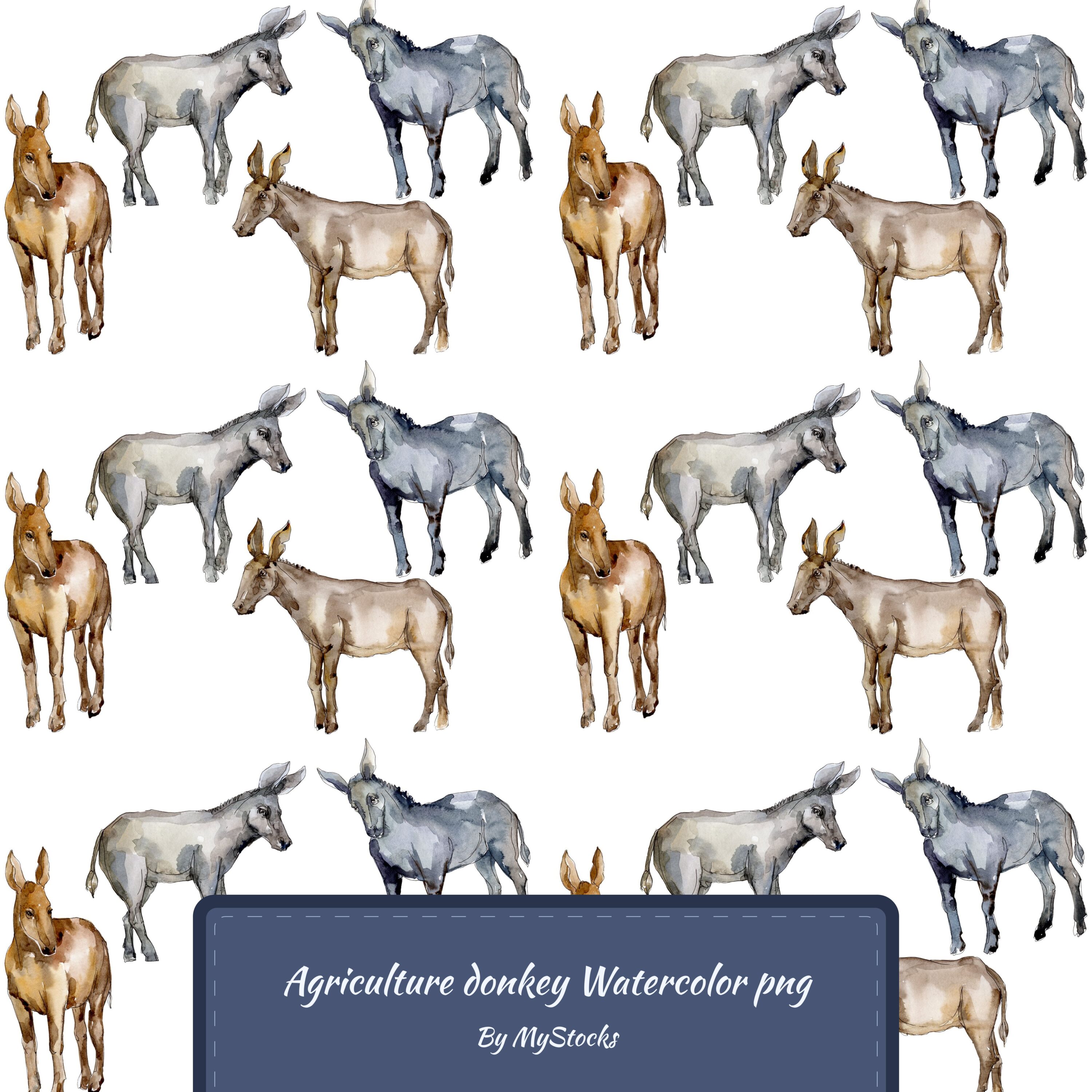 Agriculture donkey Watercolor png.