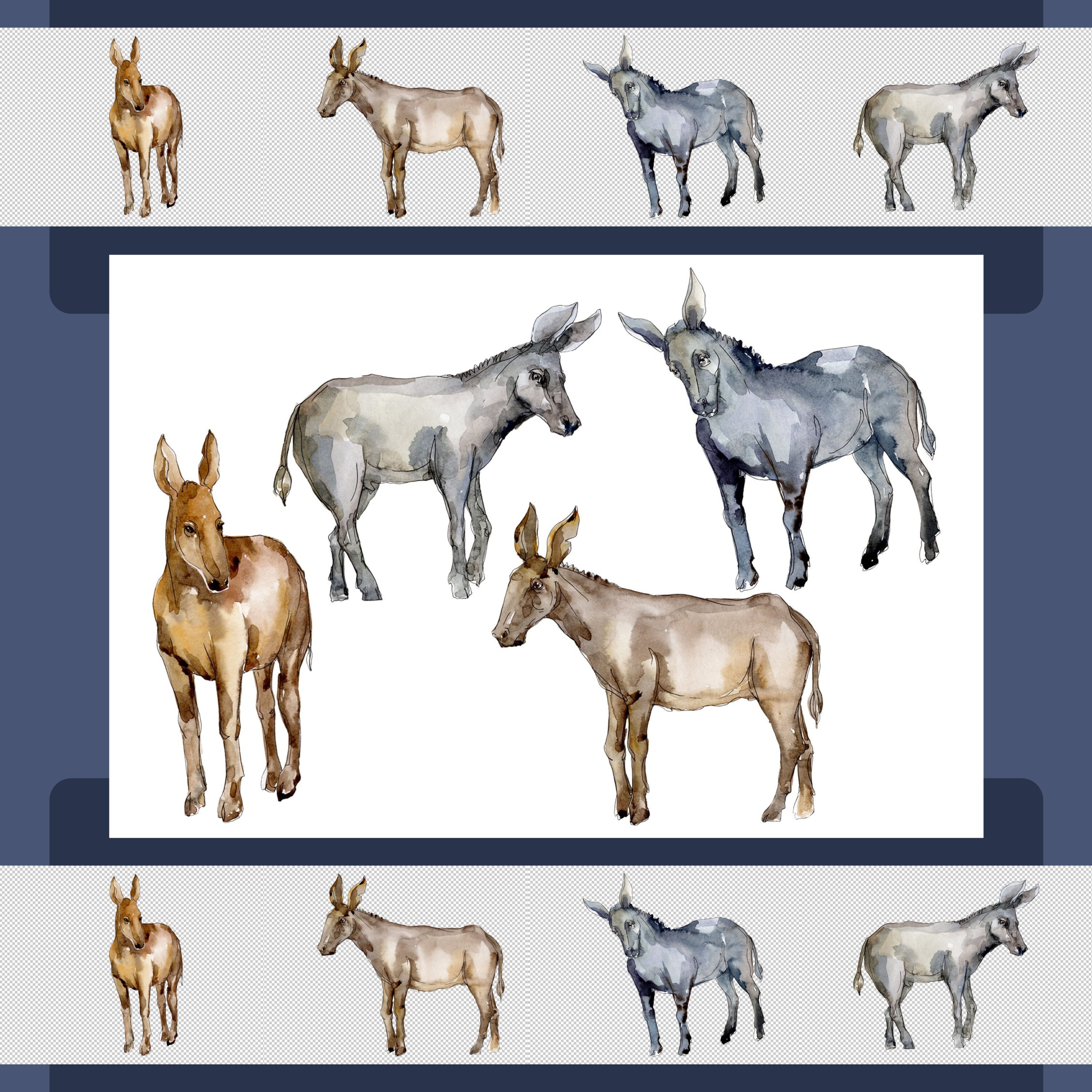 Agriculture donkey Watercolor png cover.