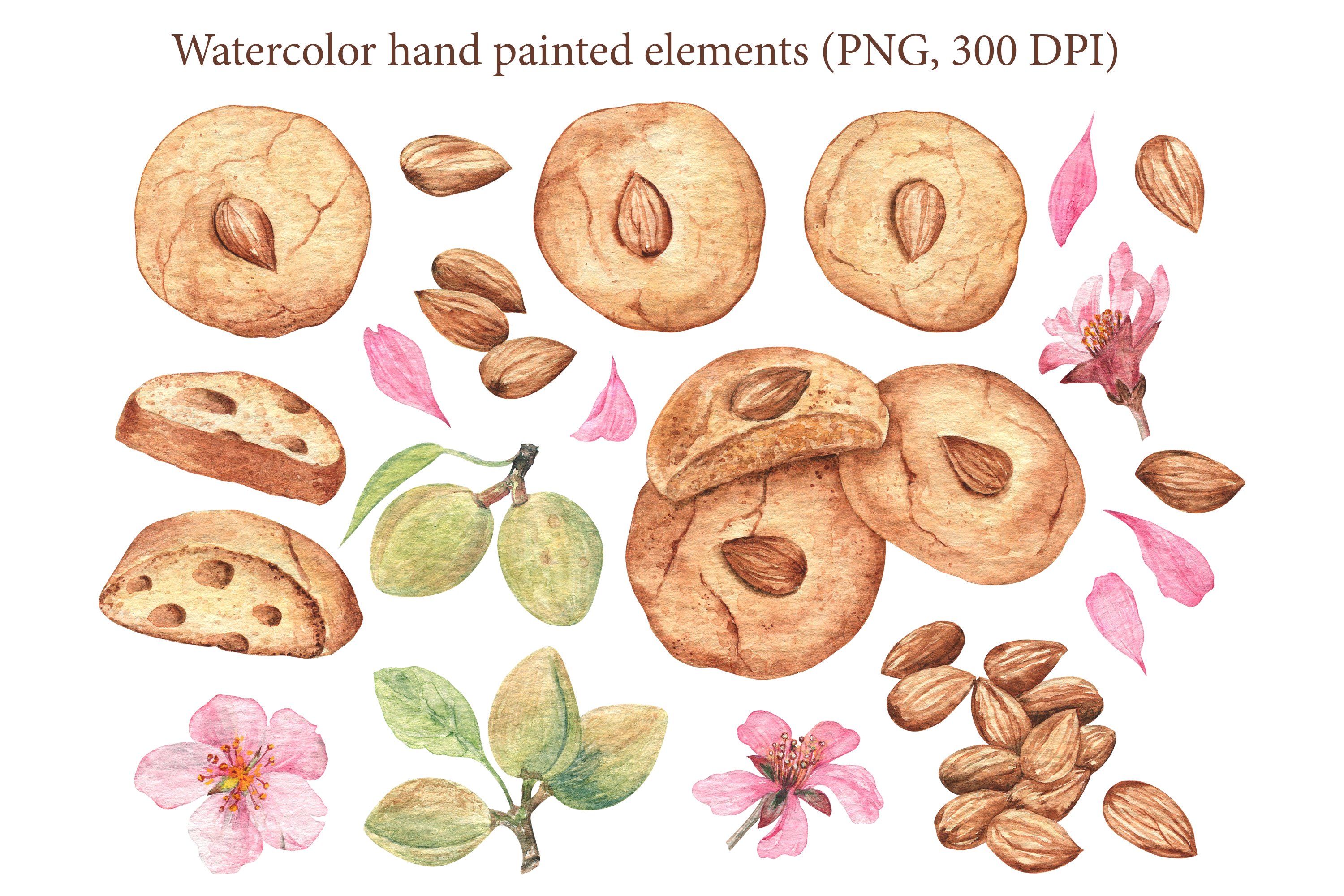 Hand painted almonds with flowers and plants.