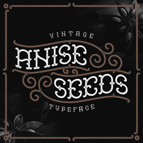 Anise Seeds Typeface main cover.