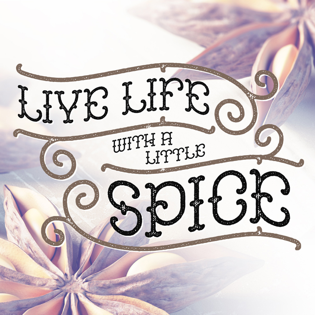 Anise Seeds Typeface preview.