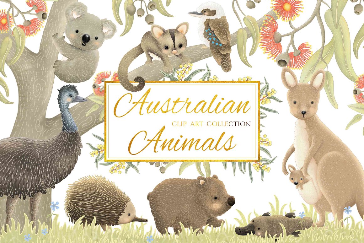 Golden lettering "Australian Animals Clip Art Collection" in golden frame on a white background and a set of different australian animals on a white background.