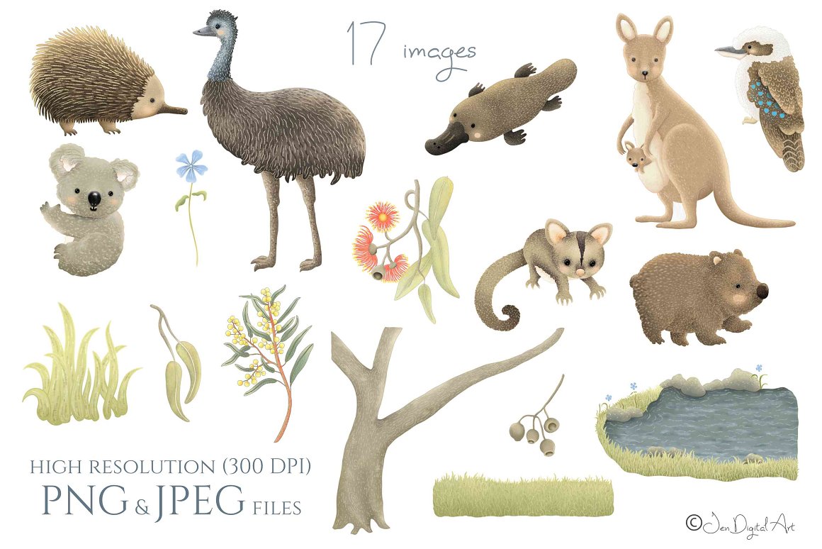 A set of 17 different images - echidna, koala, platypus, kangaroo, wombat, bird, ostrich and different nature elements on a white background.