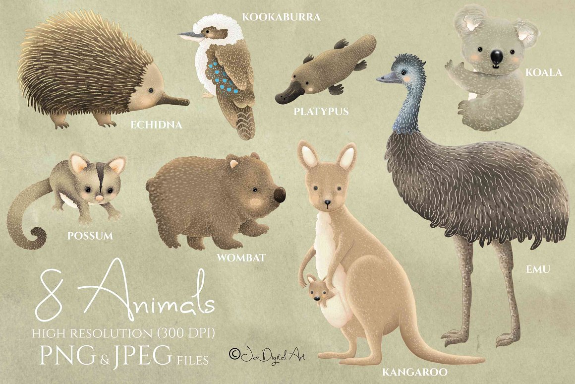 A set of 8 animals - echidna, possum, emu, kangaroo, wombat, kookaburra, platypus and koala on a dirty green background.