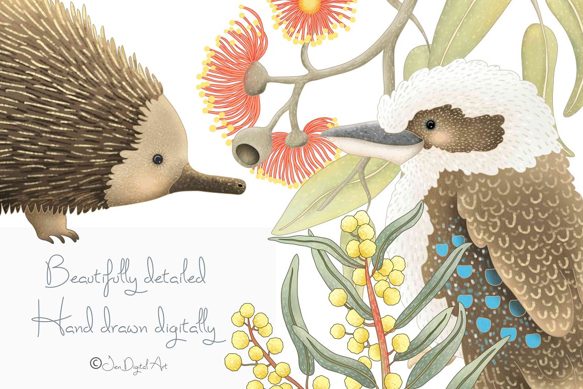 Echidna and kookaburra with different plants on a white background.