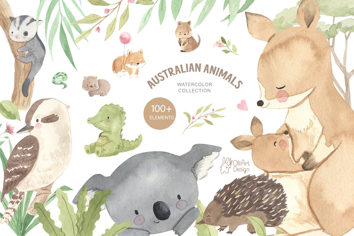 The beige lettering "Australian Animals" and a set of different watercolor images with aussie animals on a white background.