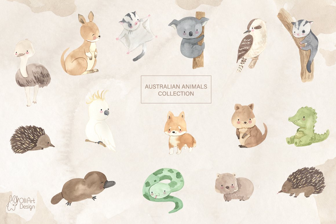 Beige lettering "Australian animals collection" in beige frame and a set of watercolor aussie animals on a beige background.