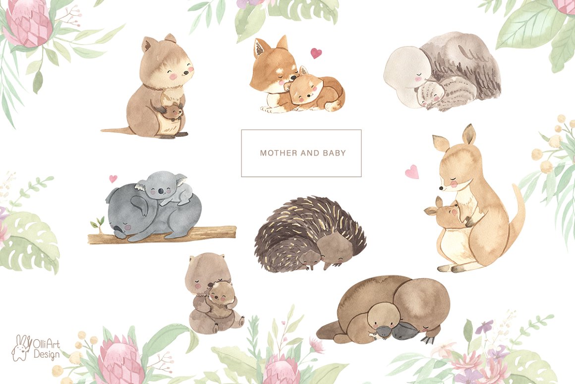 A set of watercolor images with mother and baby of a quokka, dingo dog, emu, koala, wombat, echidna, platypus and kangaroo on a white background with flowers.