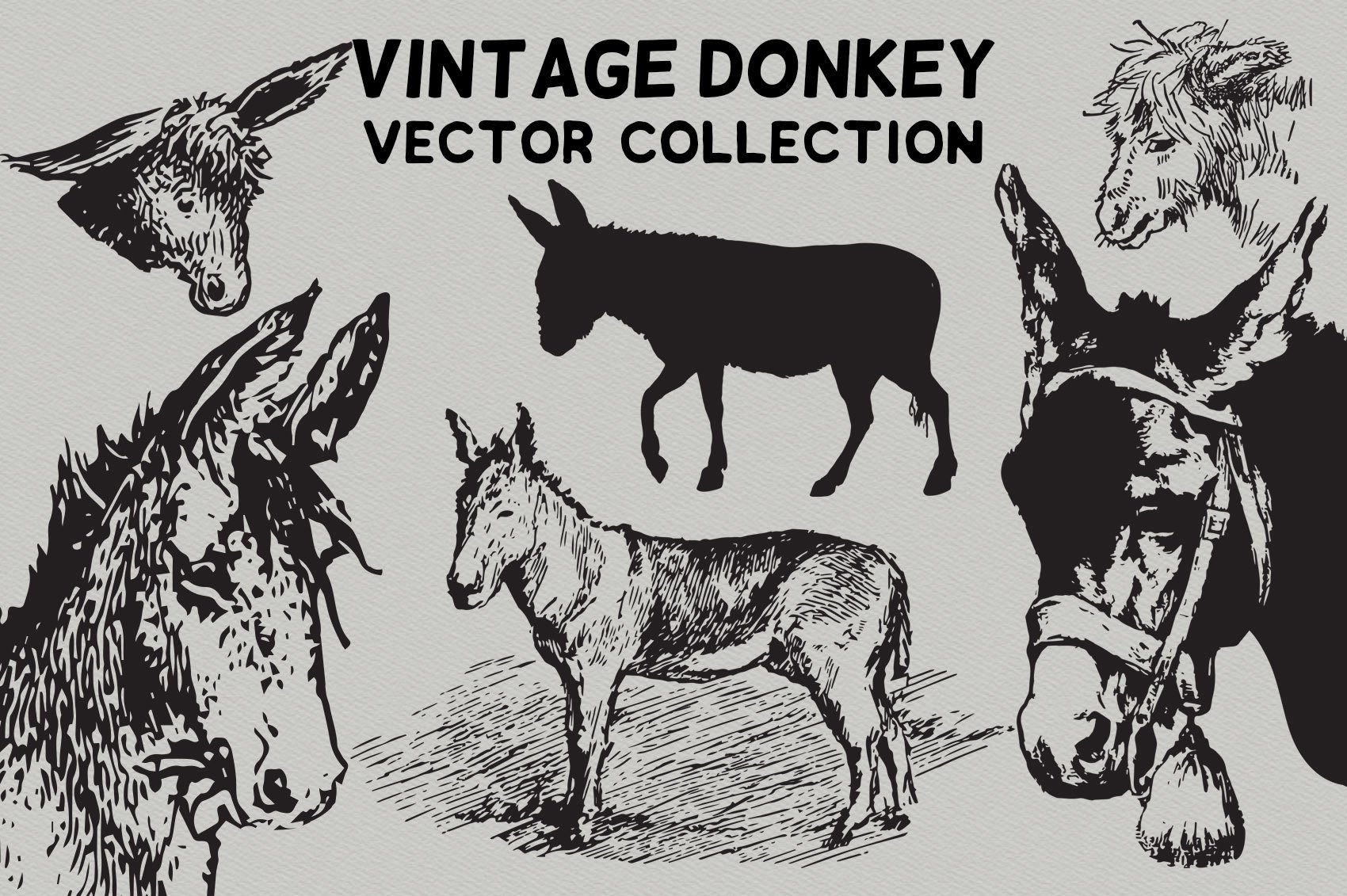 Cool donkeys in a vintage style.