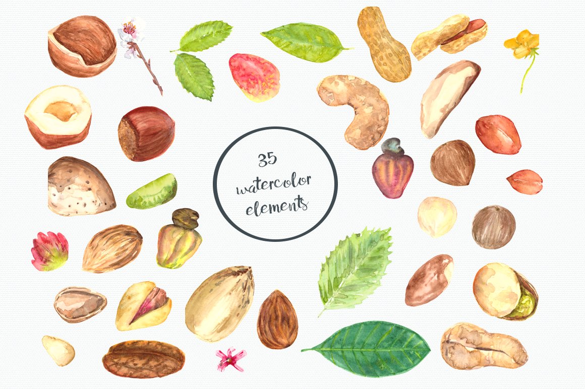 Cool nuts collection in a watercolor.