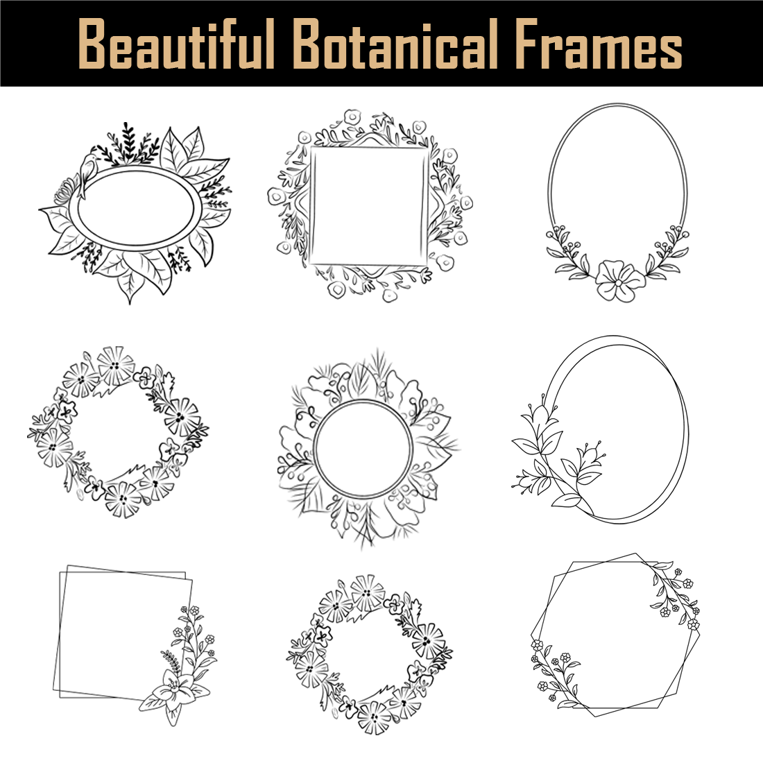 Preview beautiful botanical frames.