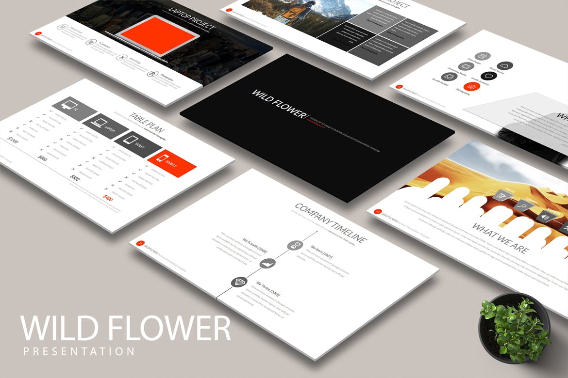 Cover image of Wild Flower Powerpoint.