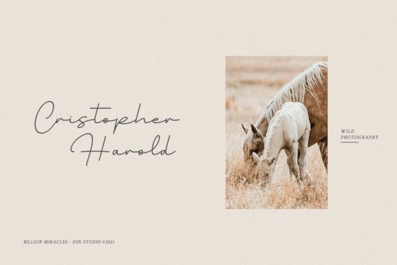 Black lettering "Cristopher Harold" in script font on a gray background with a beautiful image.