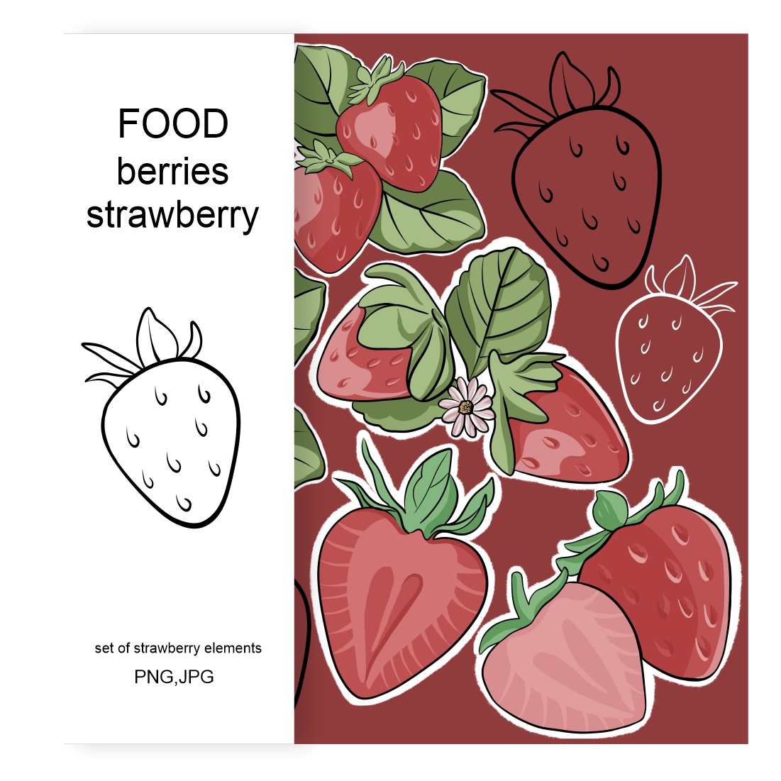 Strawberry Illustrations main cover.
