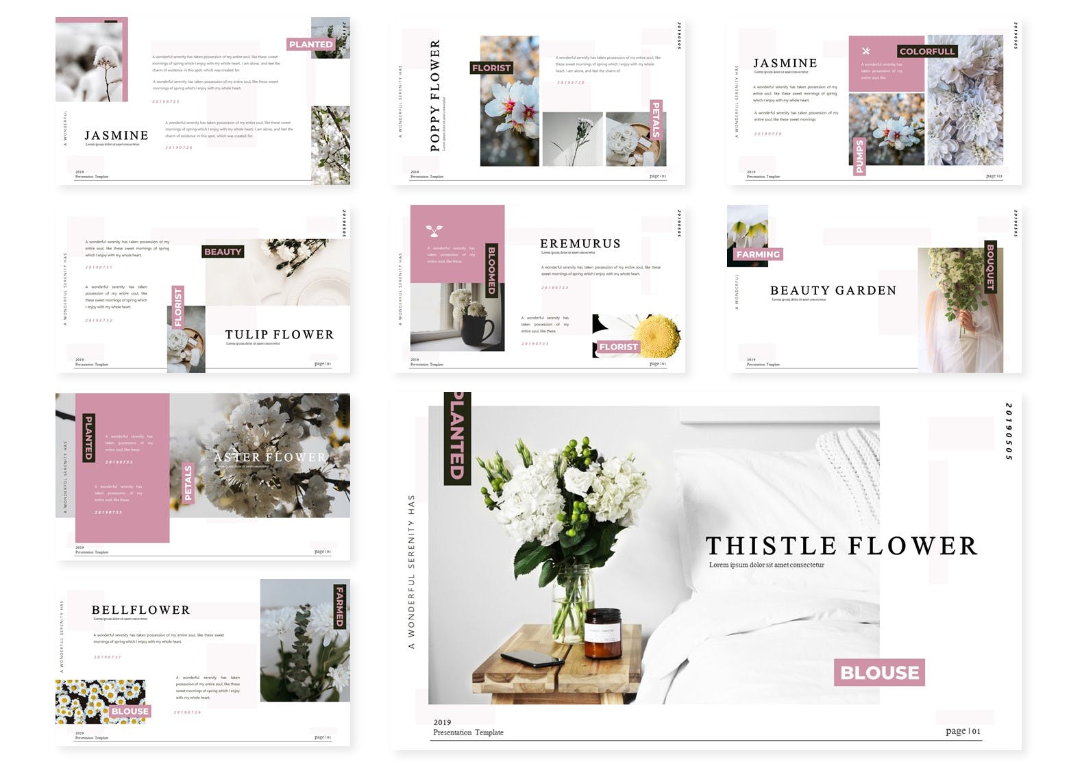 Light presentation slides with flower images and pink text blocks.