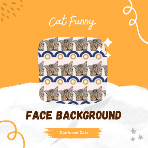 Cat Funny Face Background,Confused Cats.
