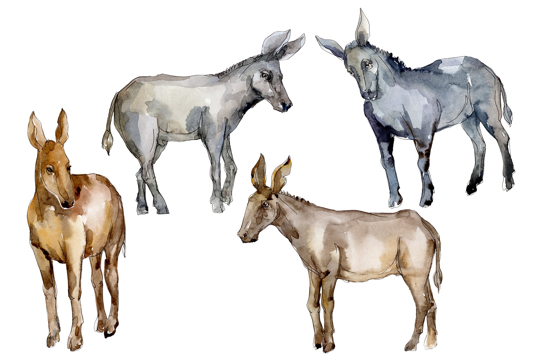 Diverse of watercolor horses.