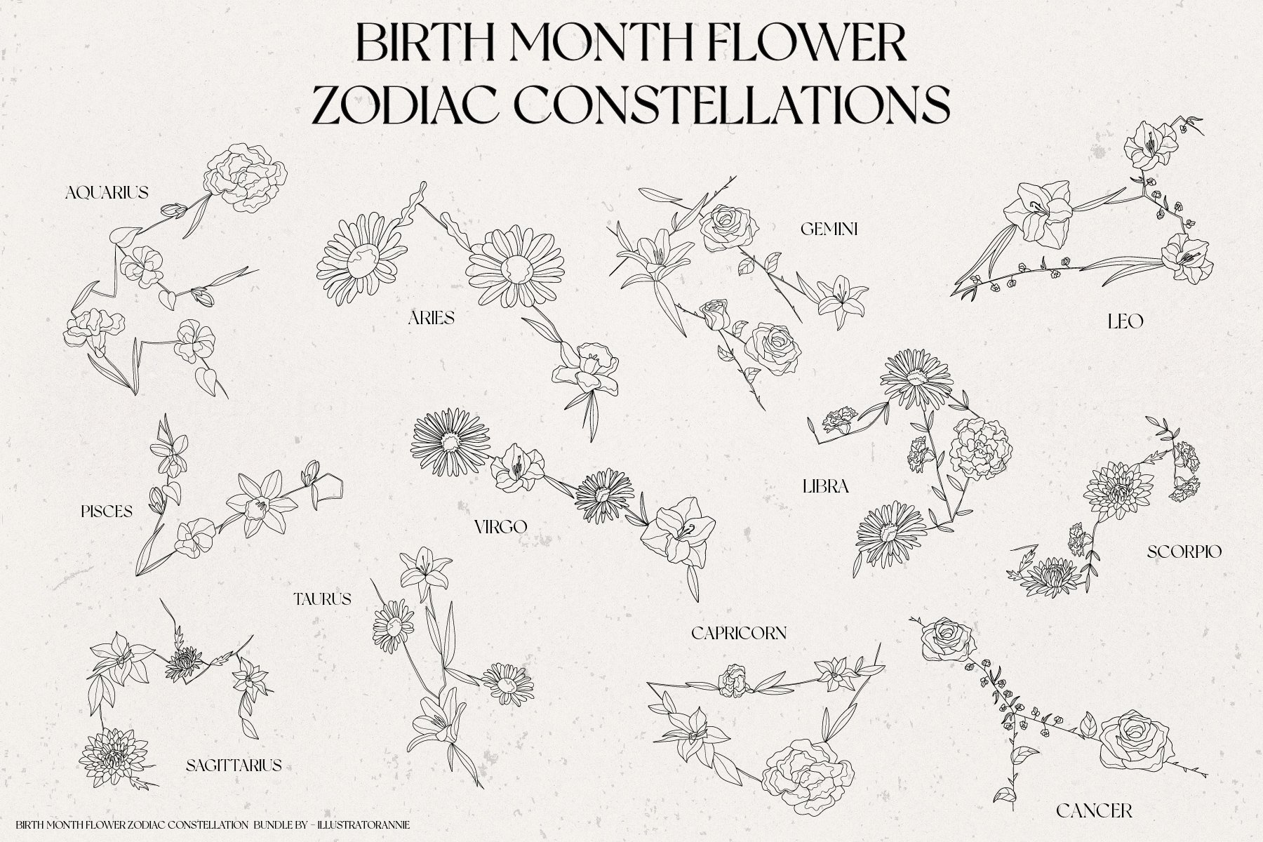 Delicate zodiac flowers for your illustrations.