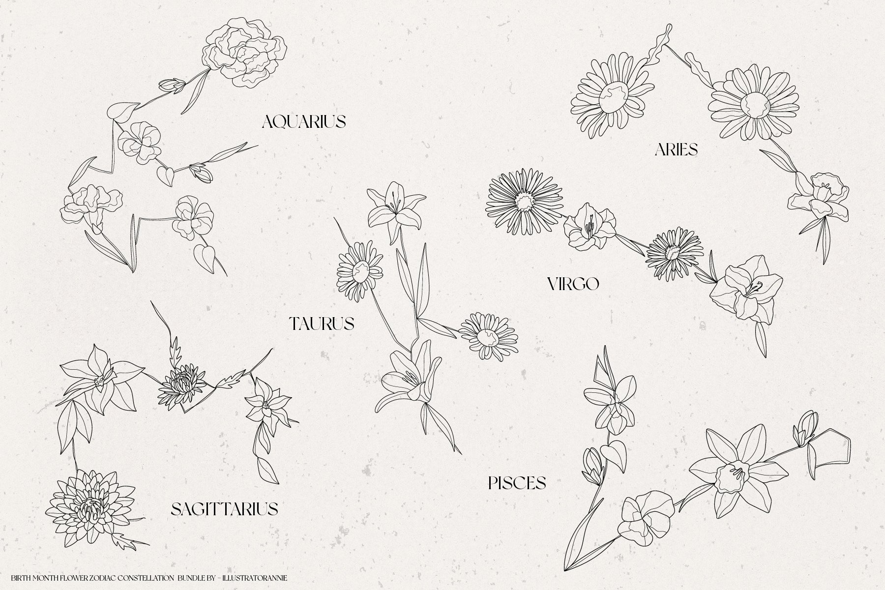 Cool hand drawn flowers for your zodiac composition.