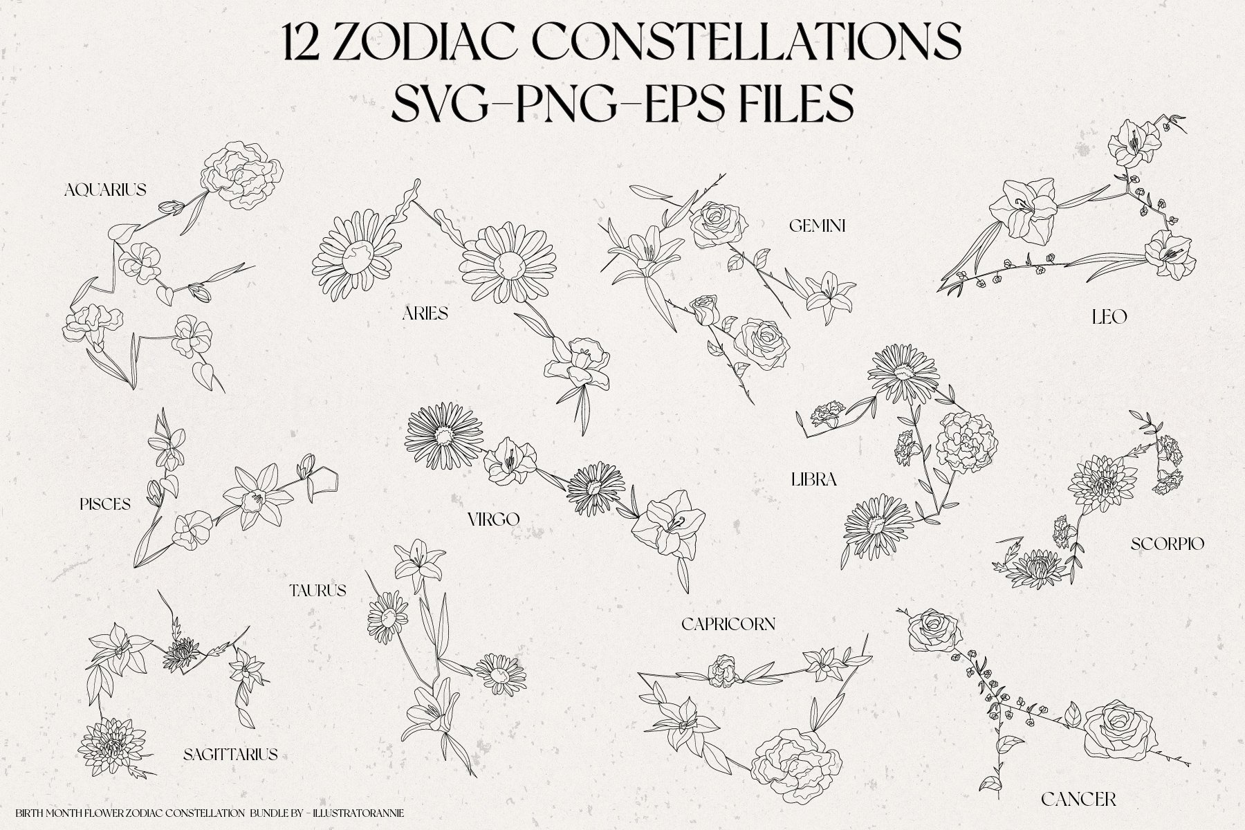 Flowers in zodiac signs shape.