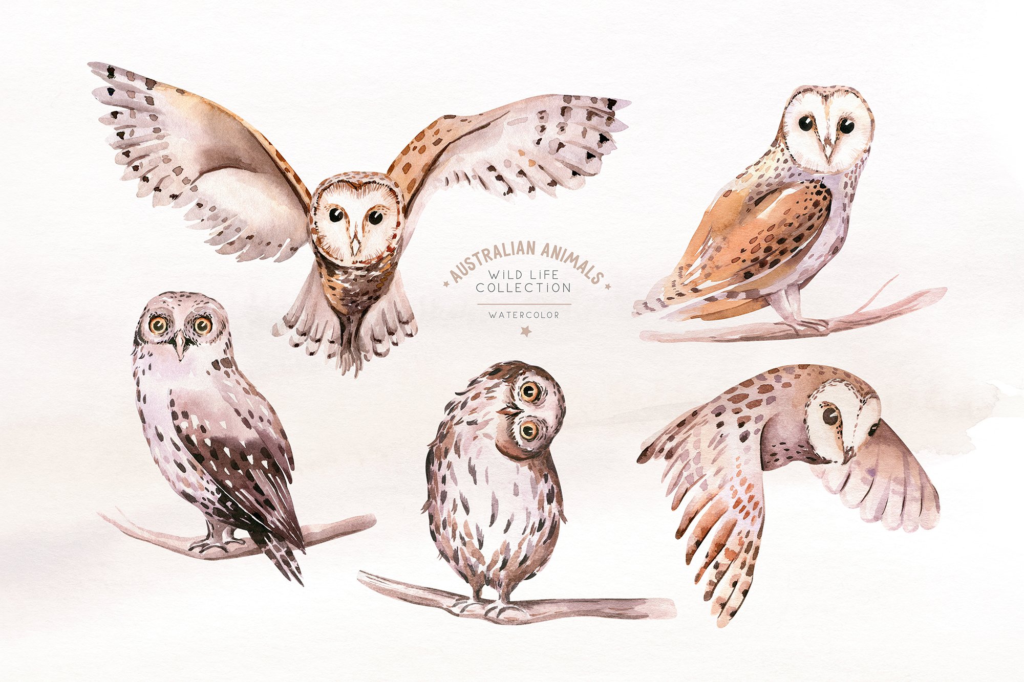 Pastel brown owls.