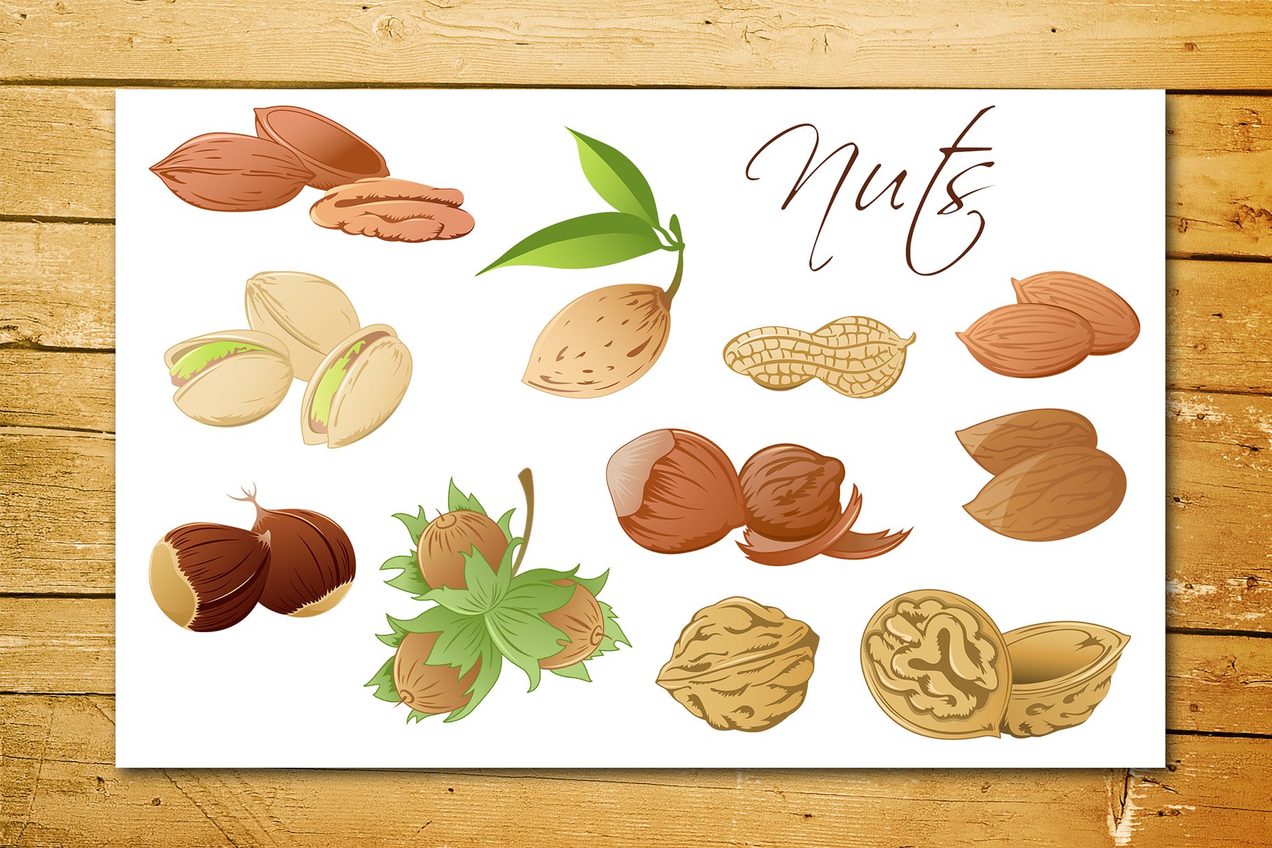 Diverse of the nuts in a pastel.