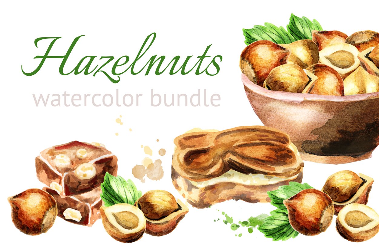 Green-gray lettering "Hazelnuts Watercolor Bundle" and watercolor illustrations of a hazelnut on a white background.