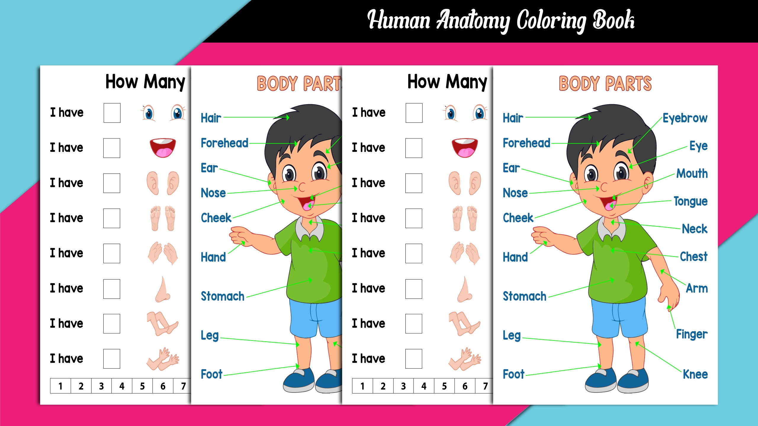 Human Anatomy Coloring Book Interior facebook image.