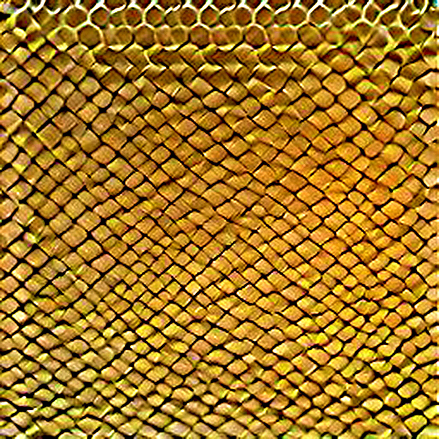 T-Shirt Pattern Yellow Snake Graphic Designs preview image.