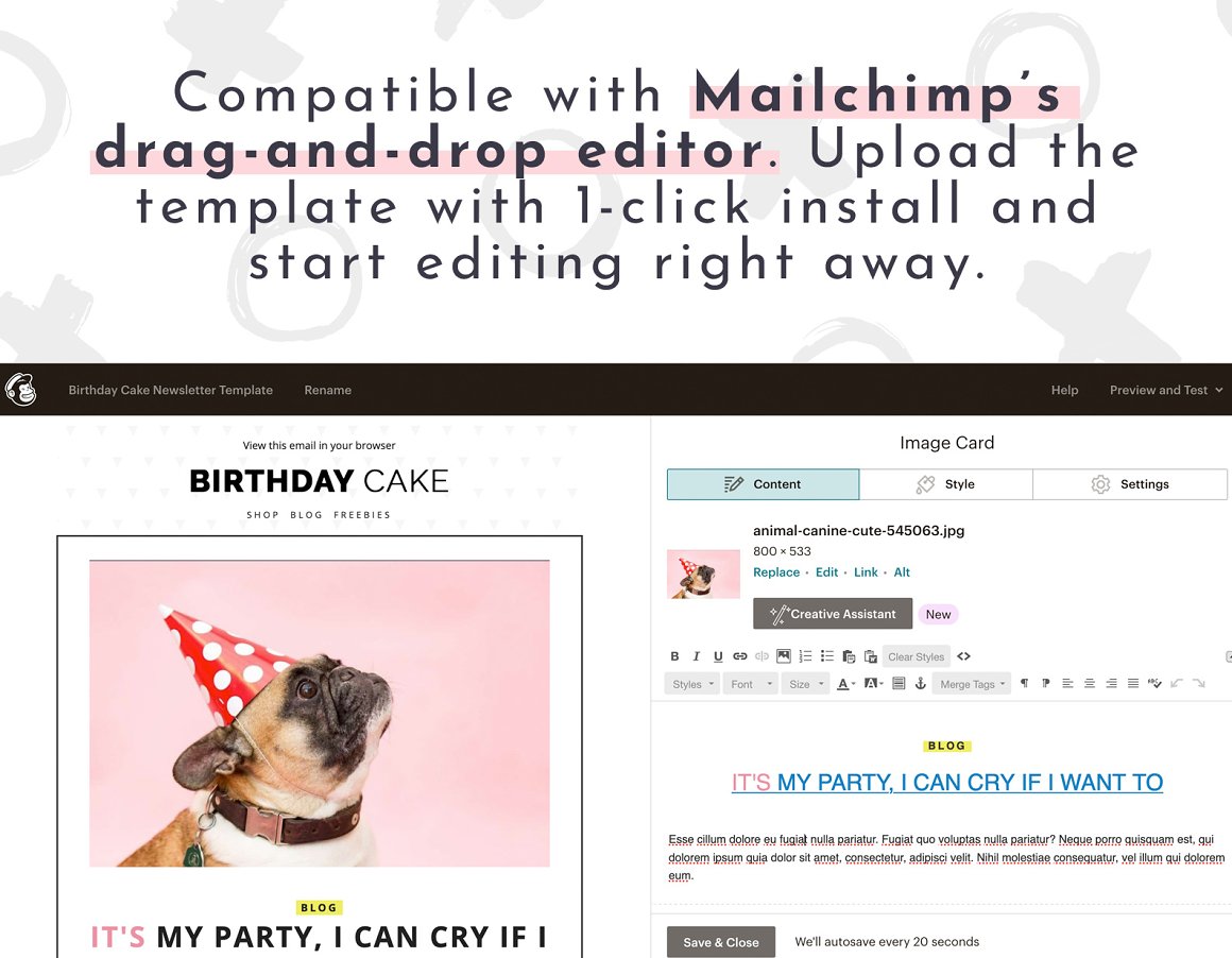 Example of editing a cute email design template.