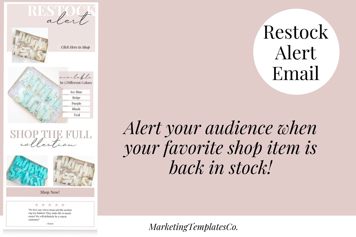 Black lettering "Restock Alert Email" on a white circle, black lettering "Alert your audince when your favorite shop item is back in stock!" and email template on a pink background.