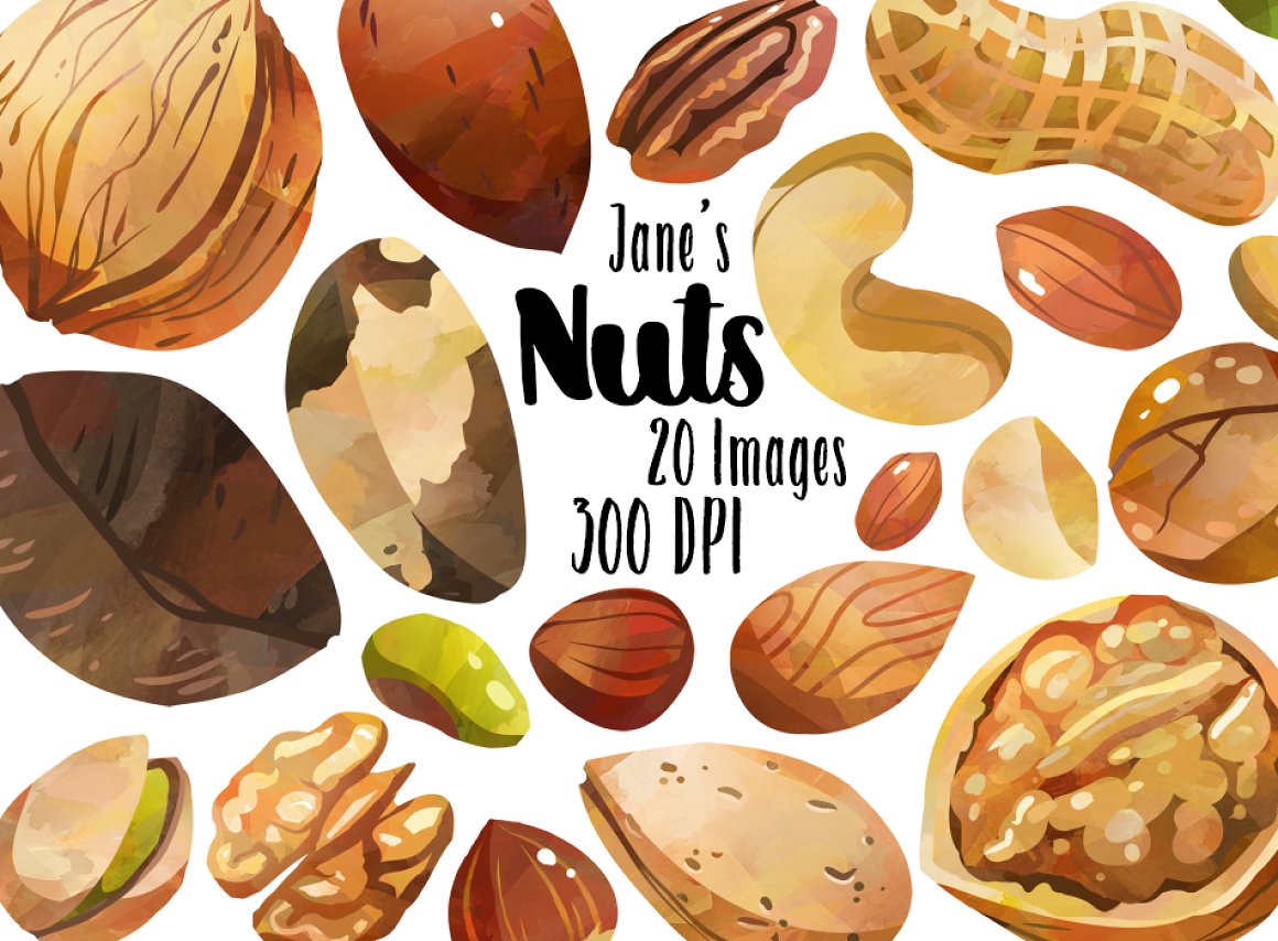 Realistic watercolor nuts for your ideas.