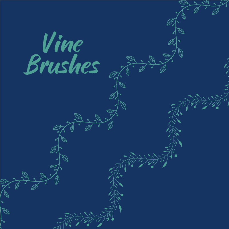 Best Vine Brushes Illustrator Pack preview image.
