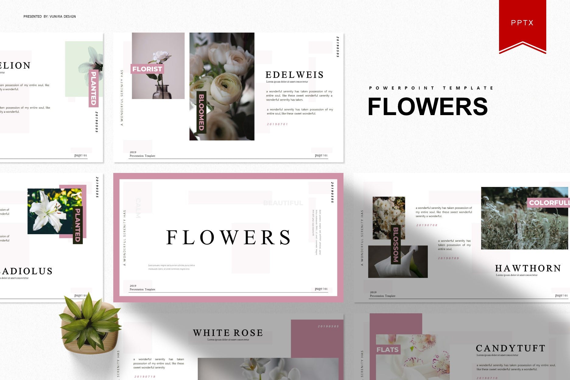 over image of Flowers | Powerpoint Template.