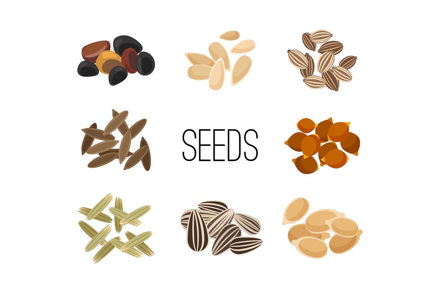 Diverse of seeds in a high quality.