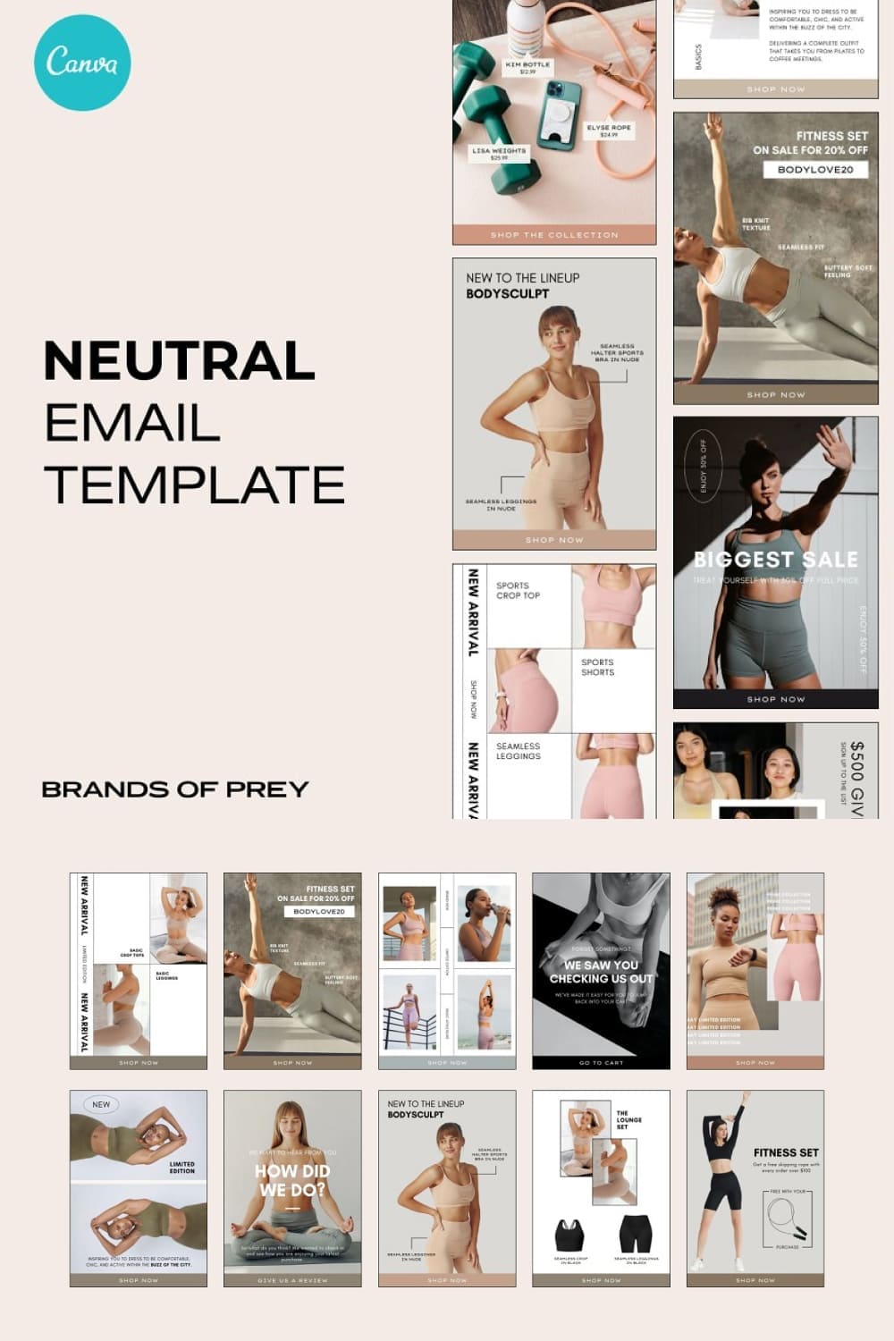 An image pack of gorgeous fashion email design templates.