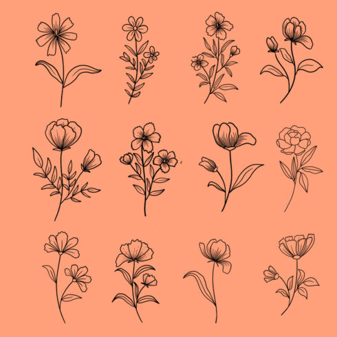Prints of monochrome flowers.