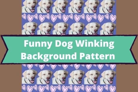 The white lettering "Funny Dog Winking Background Pattern" on a turquoise background and image of funny dogs winking and pink hearts on a blue background.