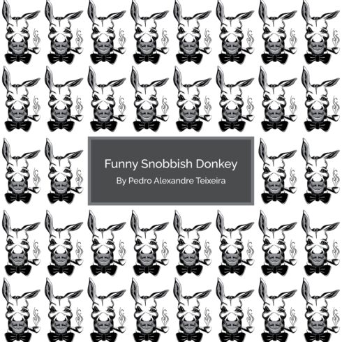 funny snobbish donkey .