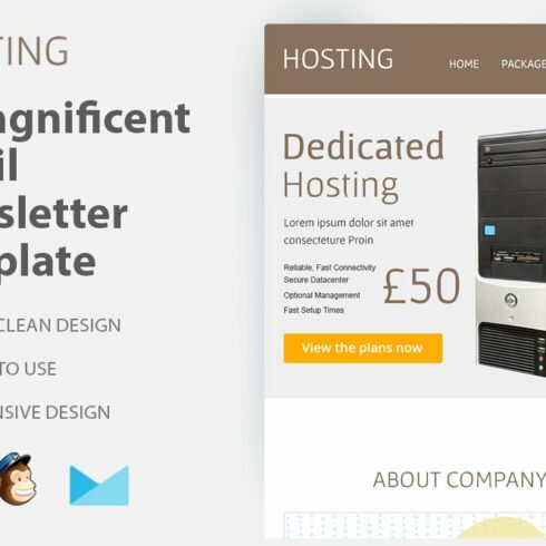 Hosting-Responsive Email Template | Master Bundles