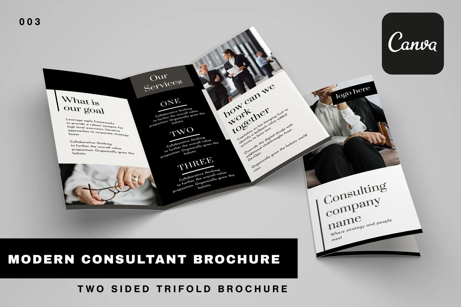 Black and white brochure for the consultant.