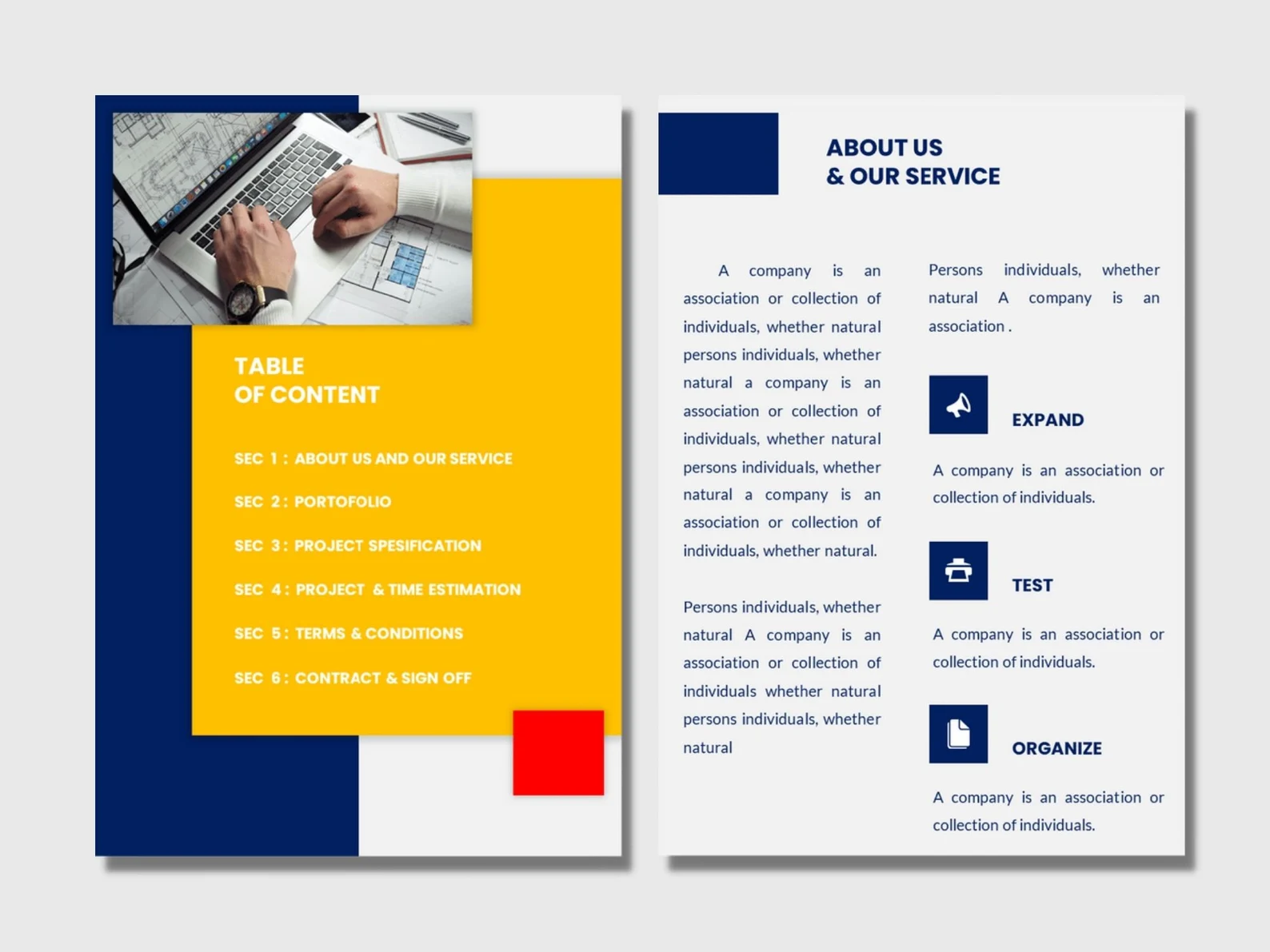 Bicolor template for the brochures for the different business.